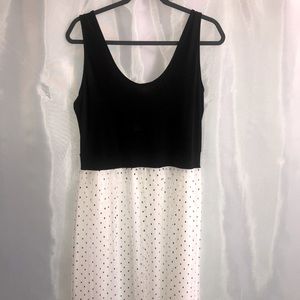 Black and White Above the Knee Dress